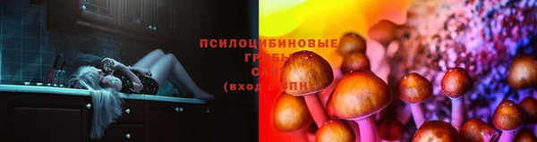 мескалин Алексин