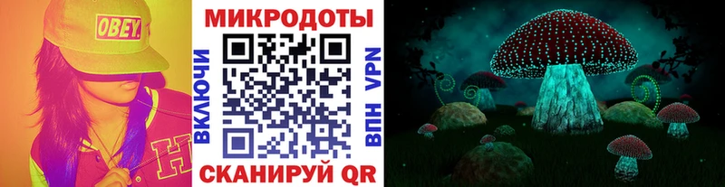 Галлюциногенные грибы GOLDEN TEACHER  Купить закладки  Красково 